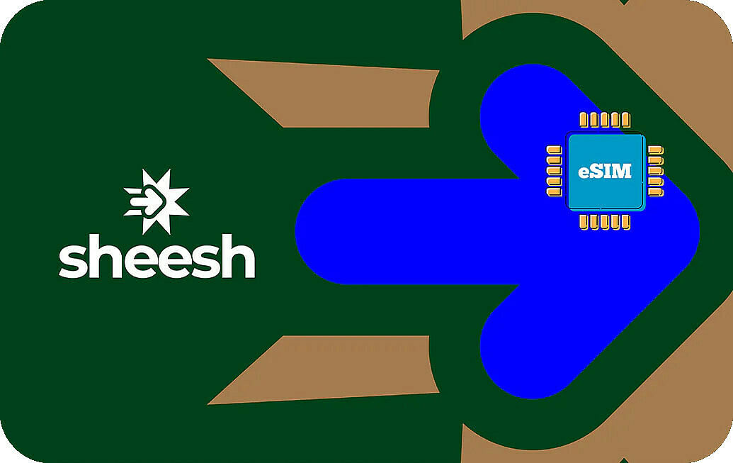 sheesh-in-30days-20gb