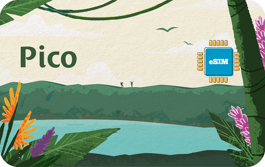 pico-30days-20gb